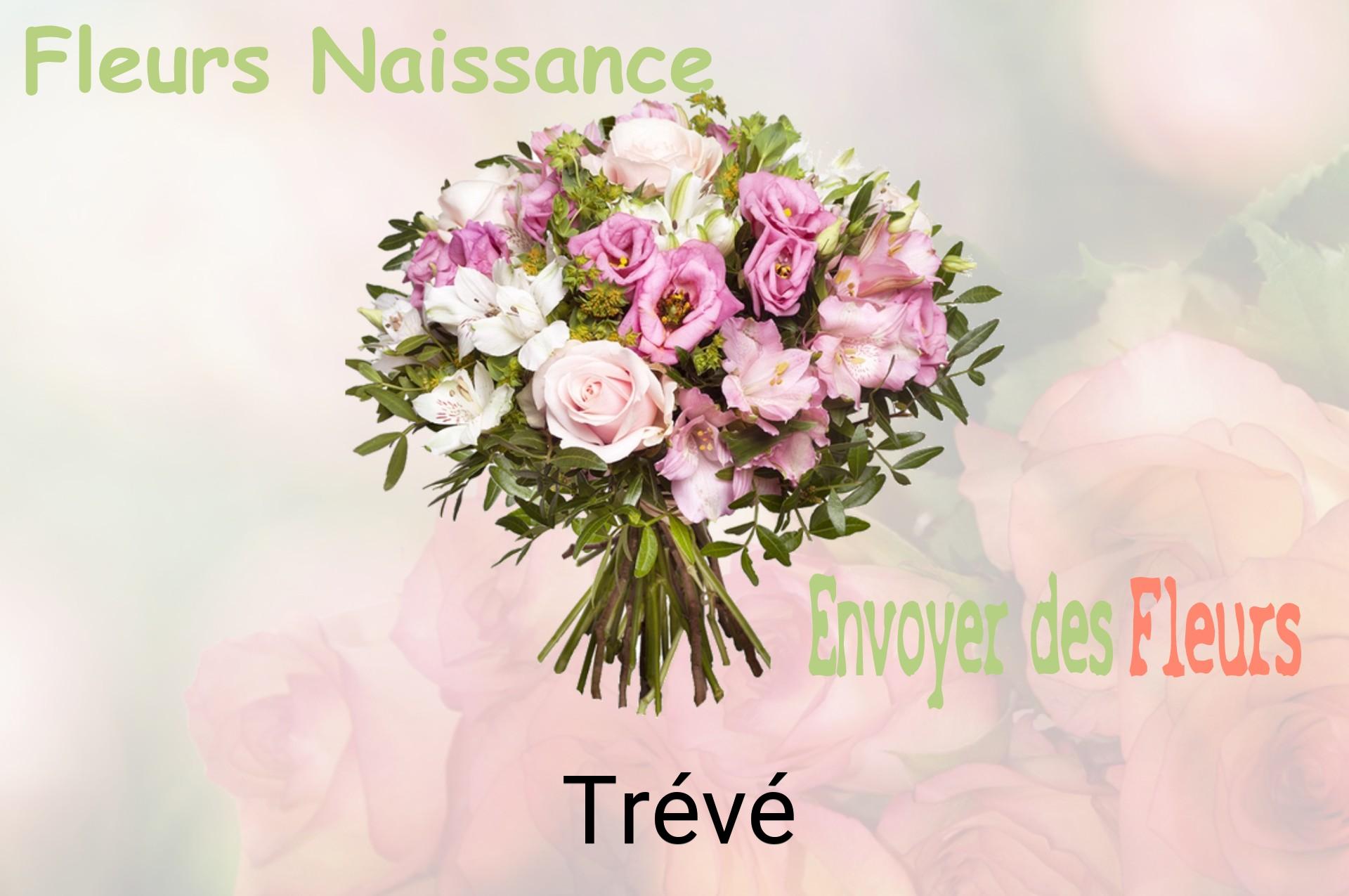 Bouquet de fleurs de naissance livré à Trévé