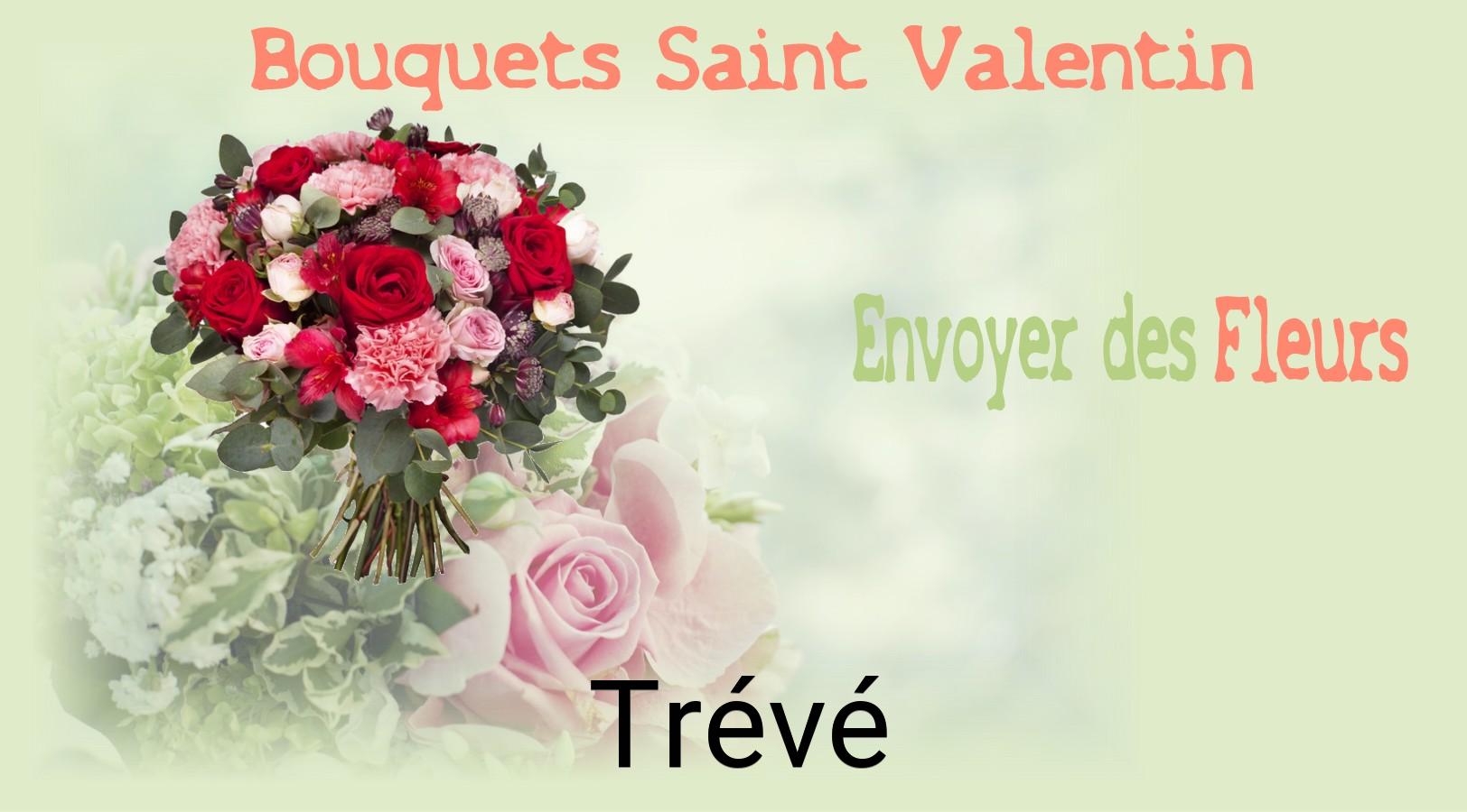 Roses de Saint-Valentin livrées à Trévé
