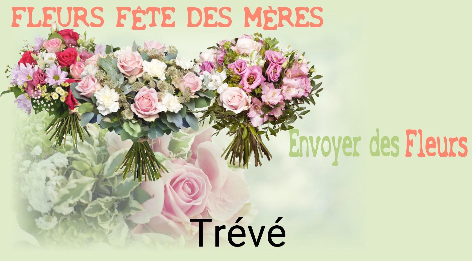 Bouquet de Fête des Mères livré à Trévé